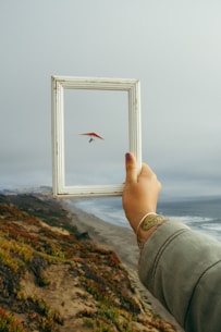 person holding rectangular white photo frame standing on rock formation near body of water