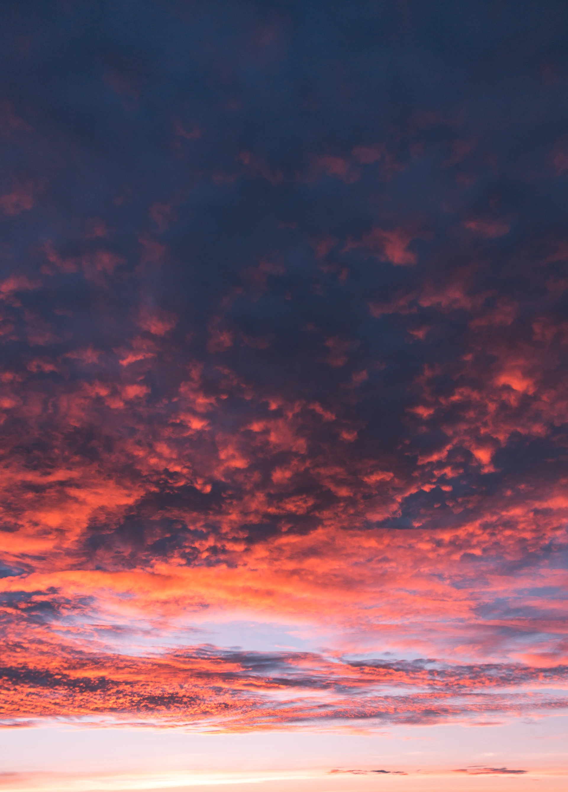 red and blue skies low angle photography