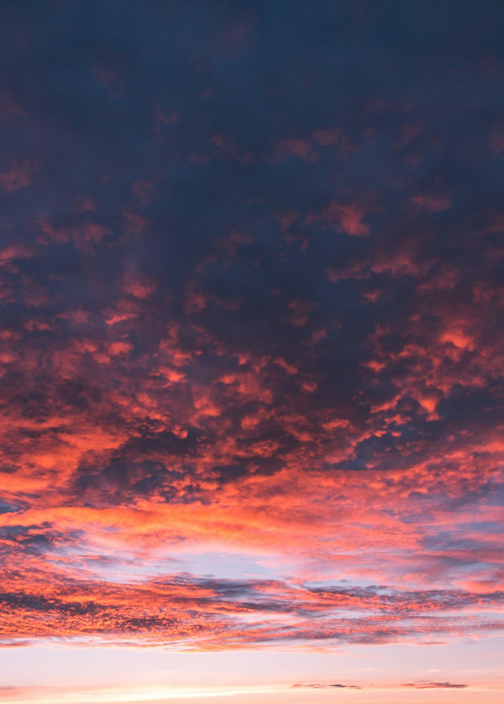 red and blue skies low angle photography