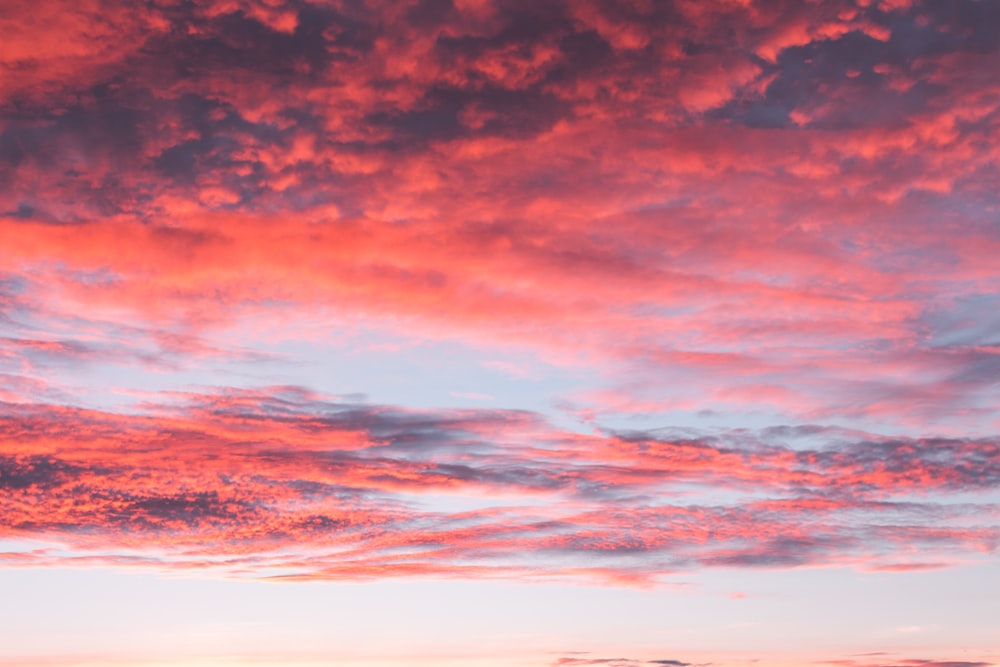 red clouds in the sky