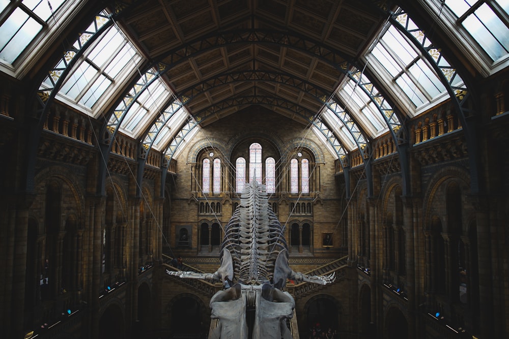 Interior do museu com esqueleto de baleia enforcado