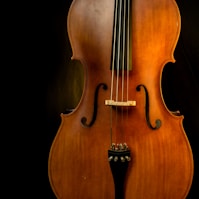 brown violin