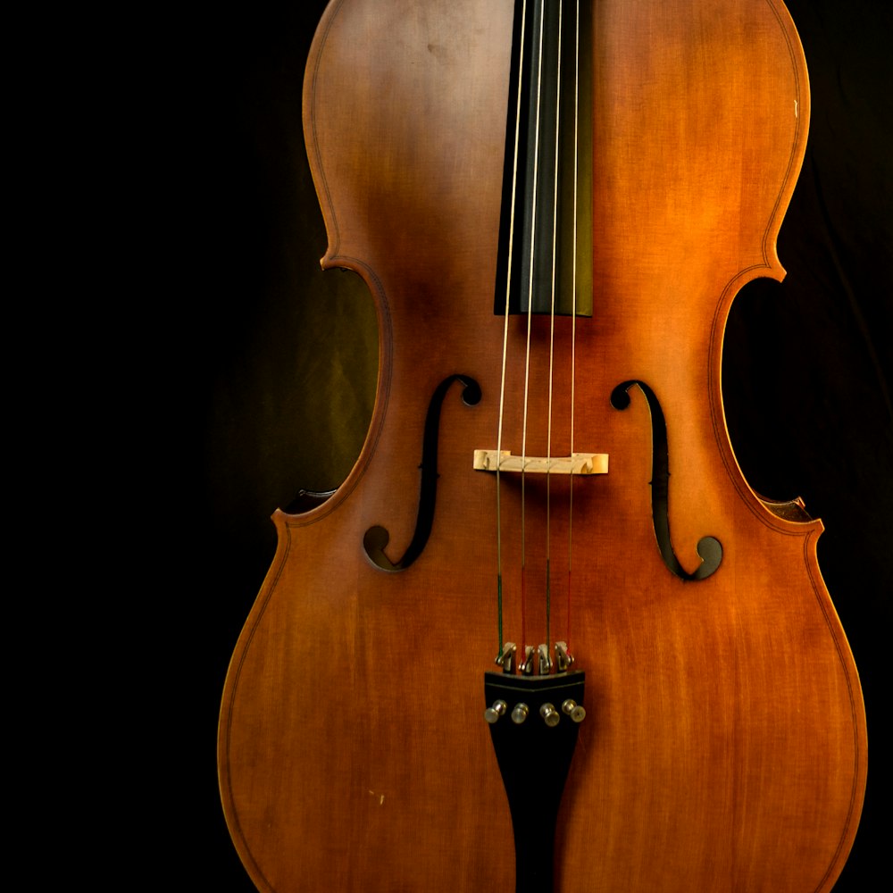 braune Violine