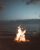 bonfire near seashore during nighttime