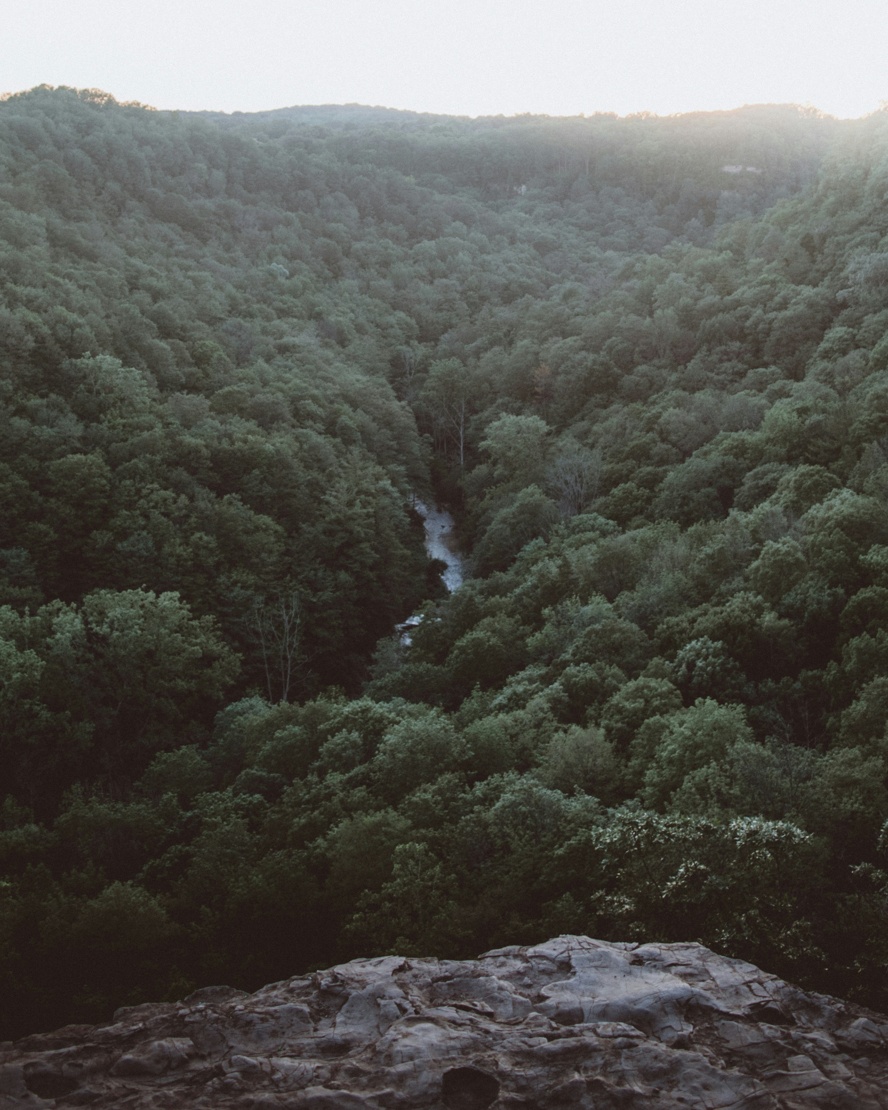 Photo by kylepyt