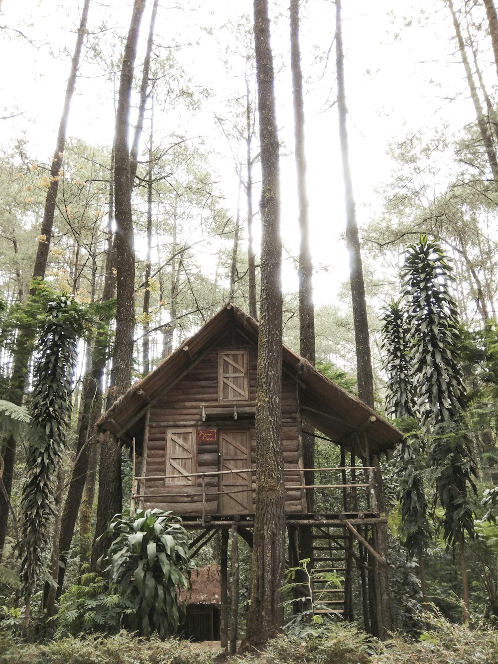 brown wooden house on forest under white sky