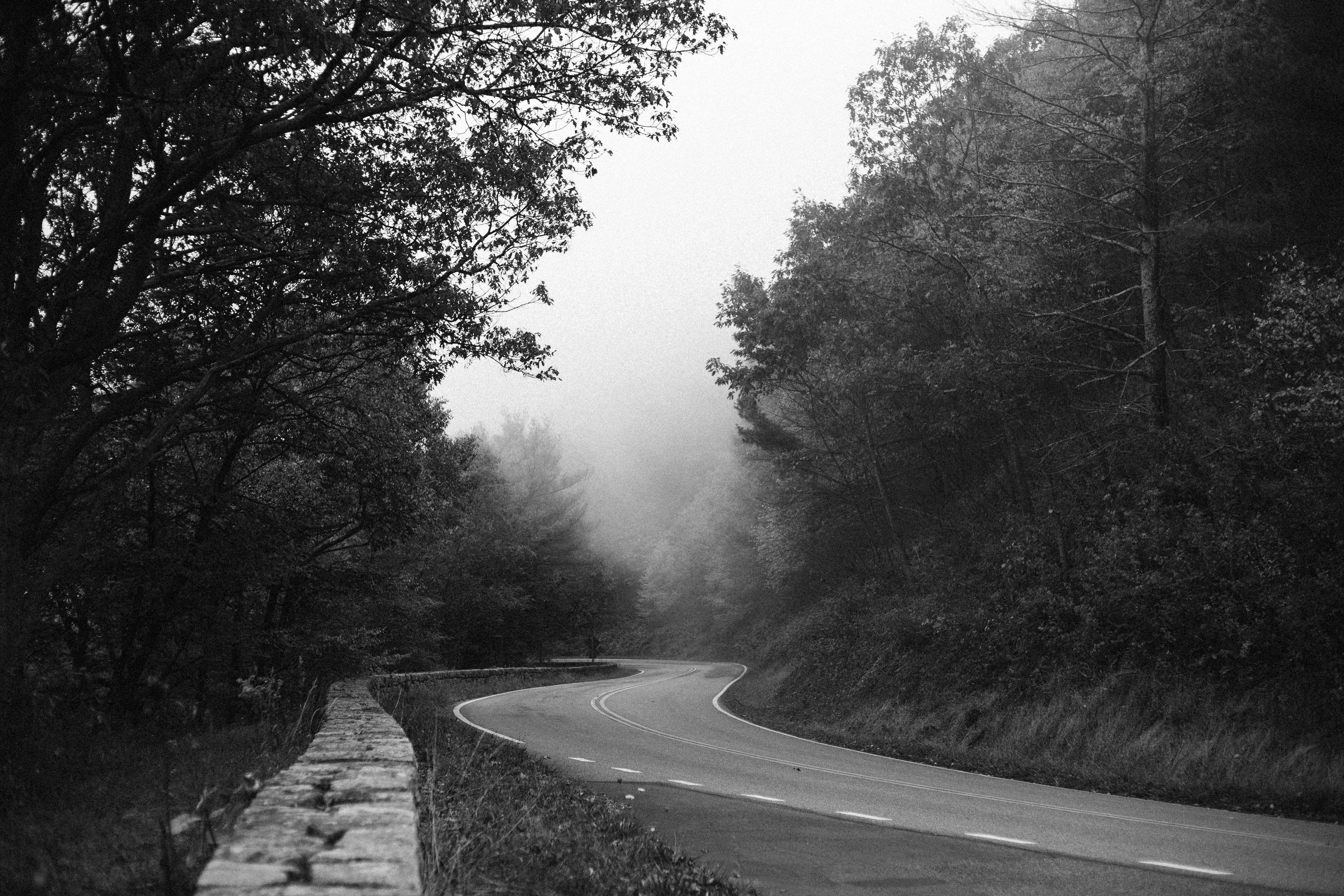 1. 自然体で美容鍼灸の力を引き出す技巧