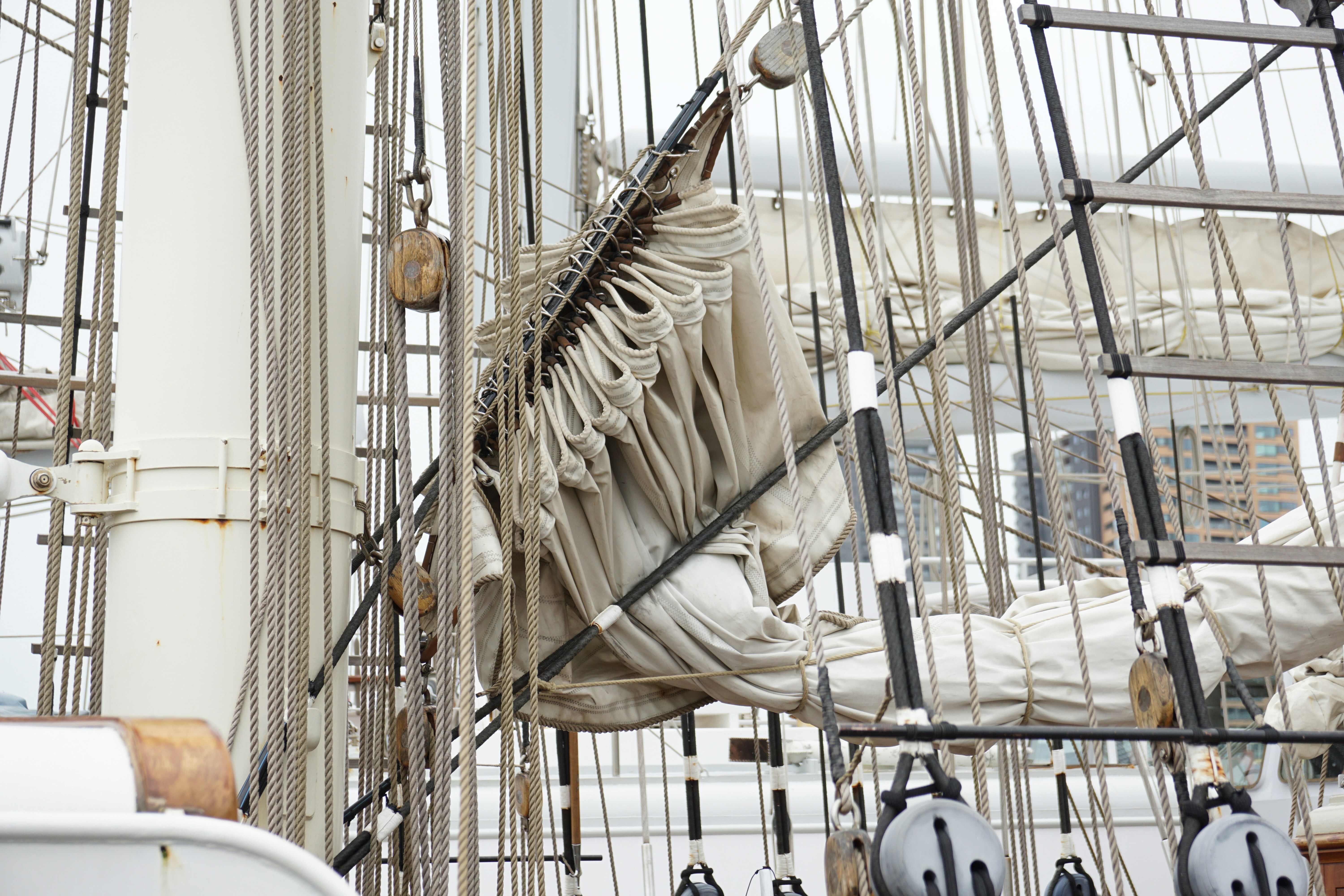 Buque de bandera blanca y negra foto Imagen de Rotterdam gratuita en