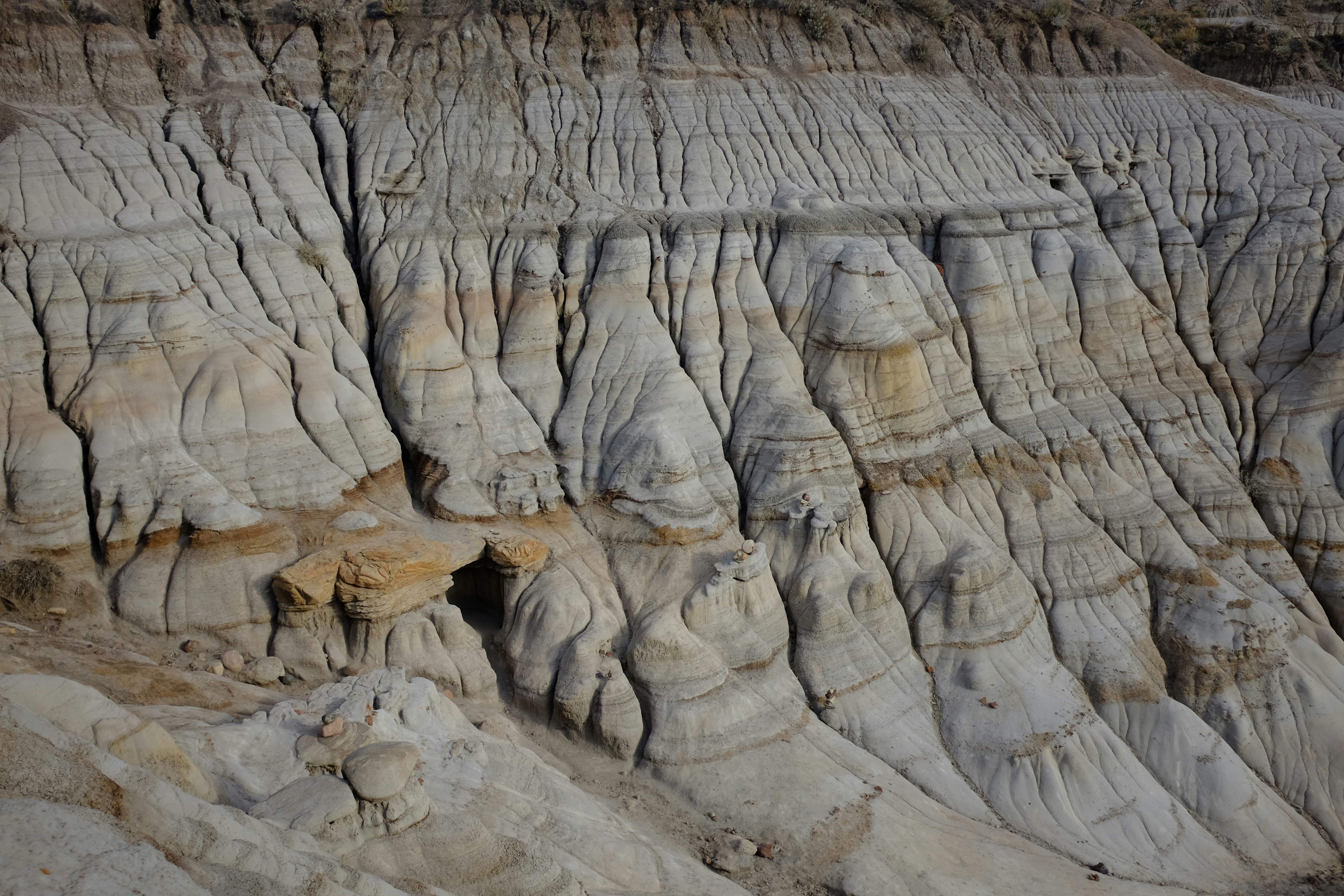 Photo by maeghansmulders