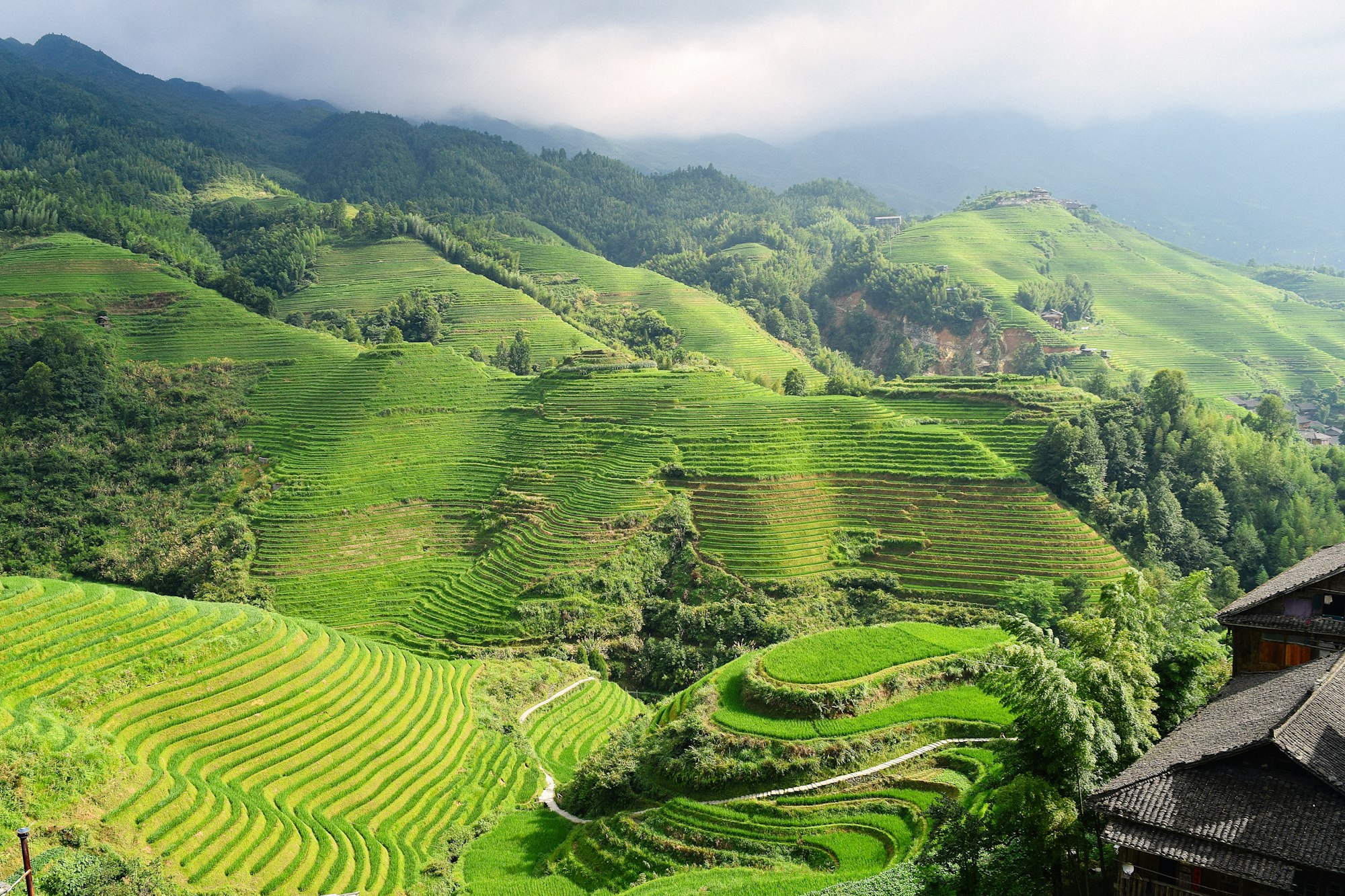 Guilin in Green