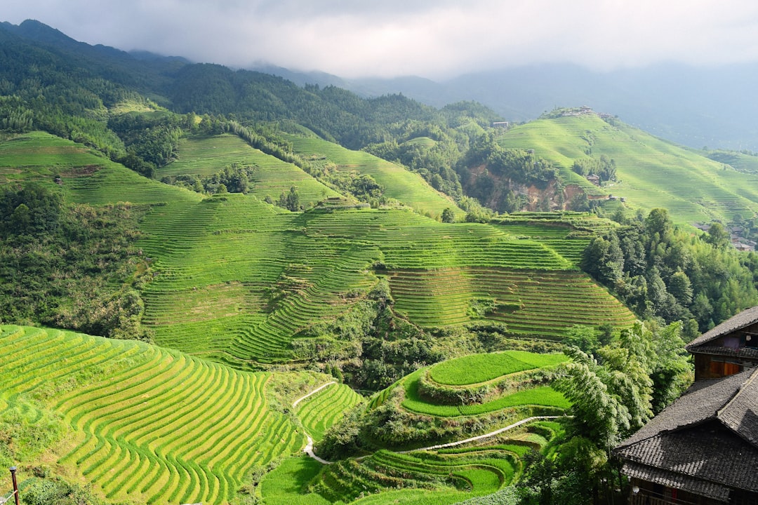 landscape of mountain, Guilin in Green