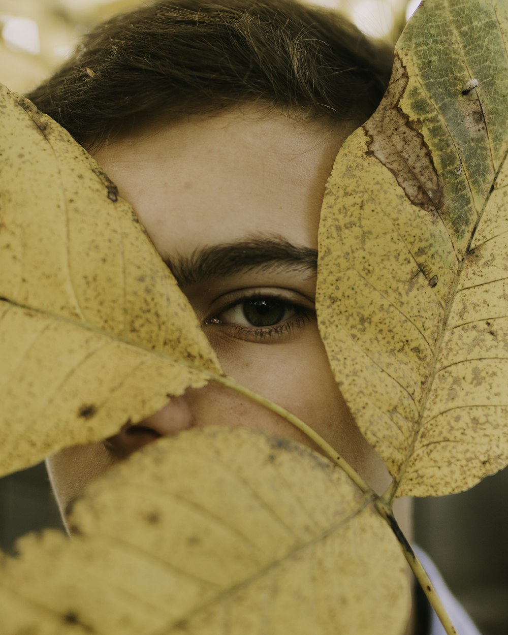 feuilles brunes sur le visage de la personne pendant la journée
