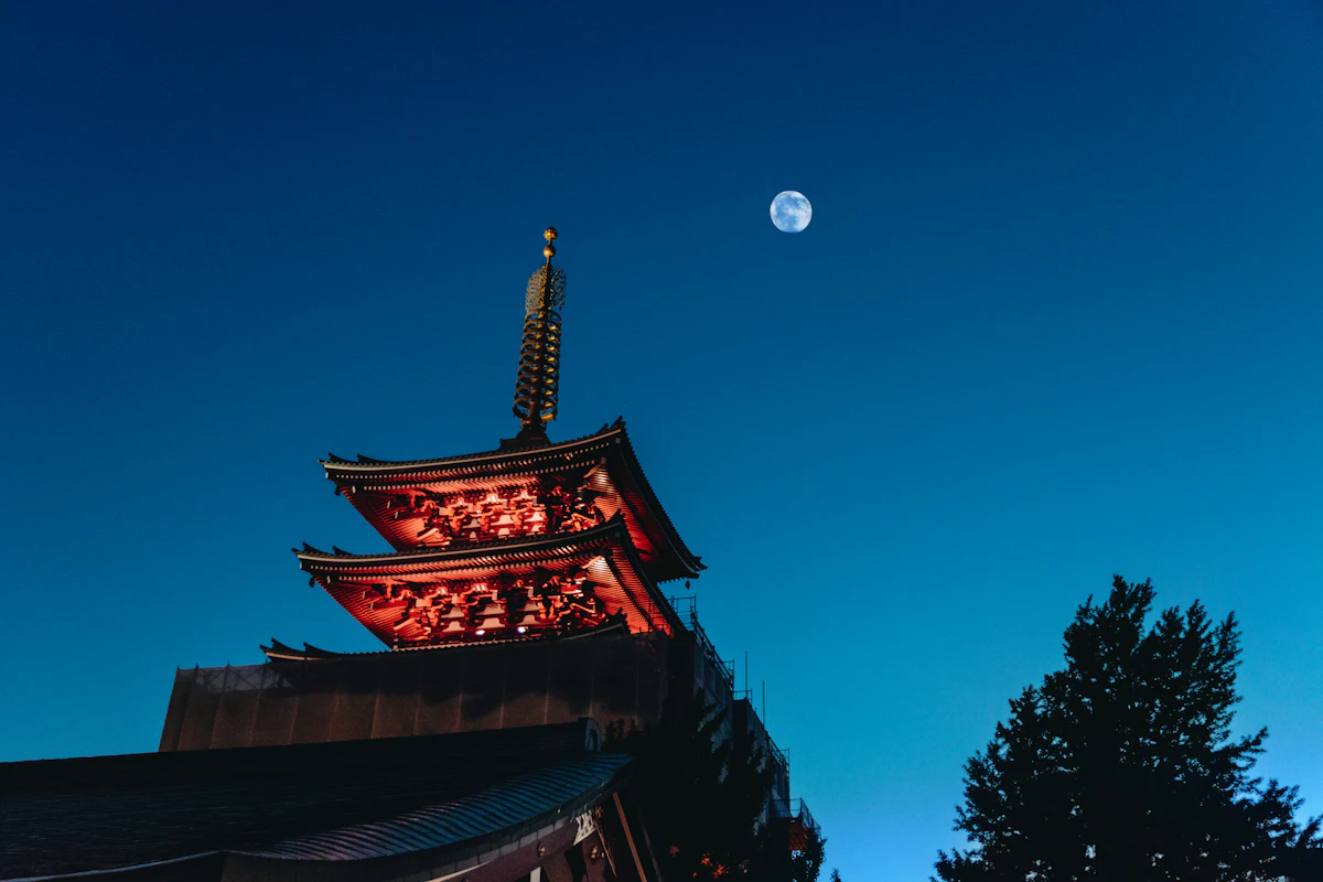 Wooden pagoda silhouetted against a dark night sky
