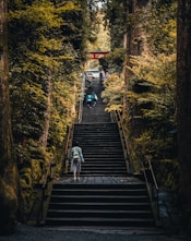 three person walking on stairs between green trees