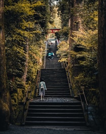 three person walking on stairs between green trees