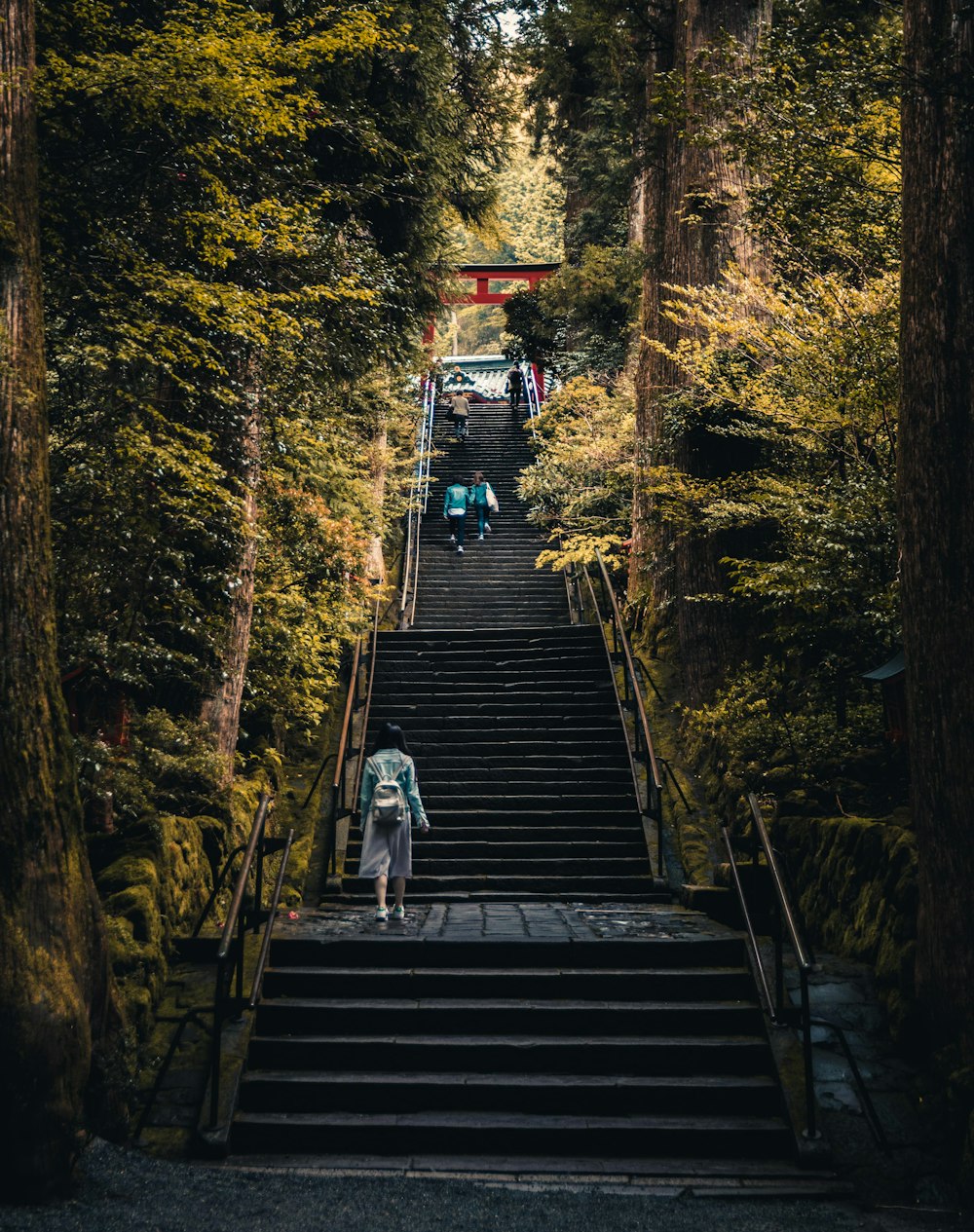 three person walking on stairs between green trees