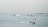 Multiple boats and ships are scattered across a large body of water, with several ferries visible in the foreground creating trails in the calm sea. The background shows a horizon line filled with additional vessels, indicating busy maritime activity under a hazy sky.