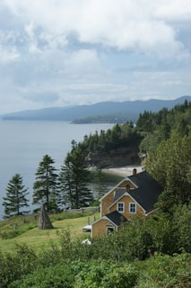 brown and black house surrounded by green trees during daytime