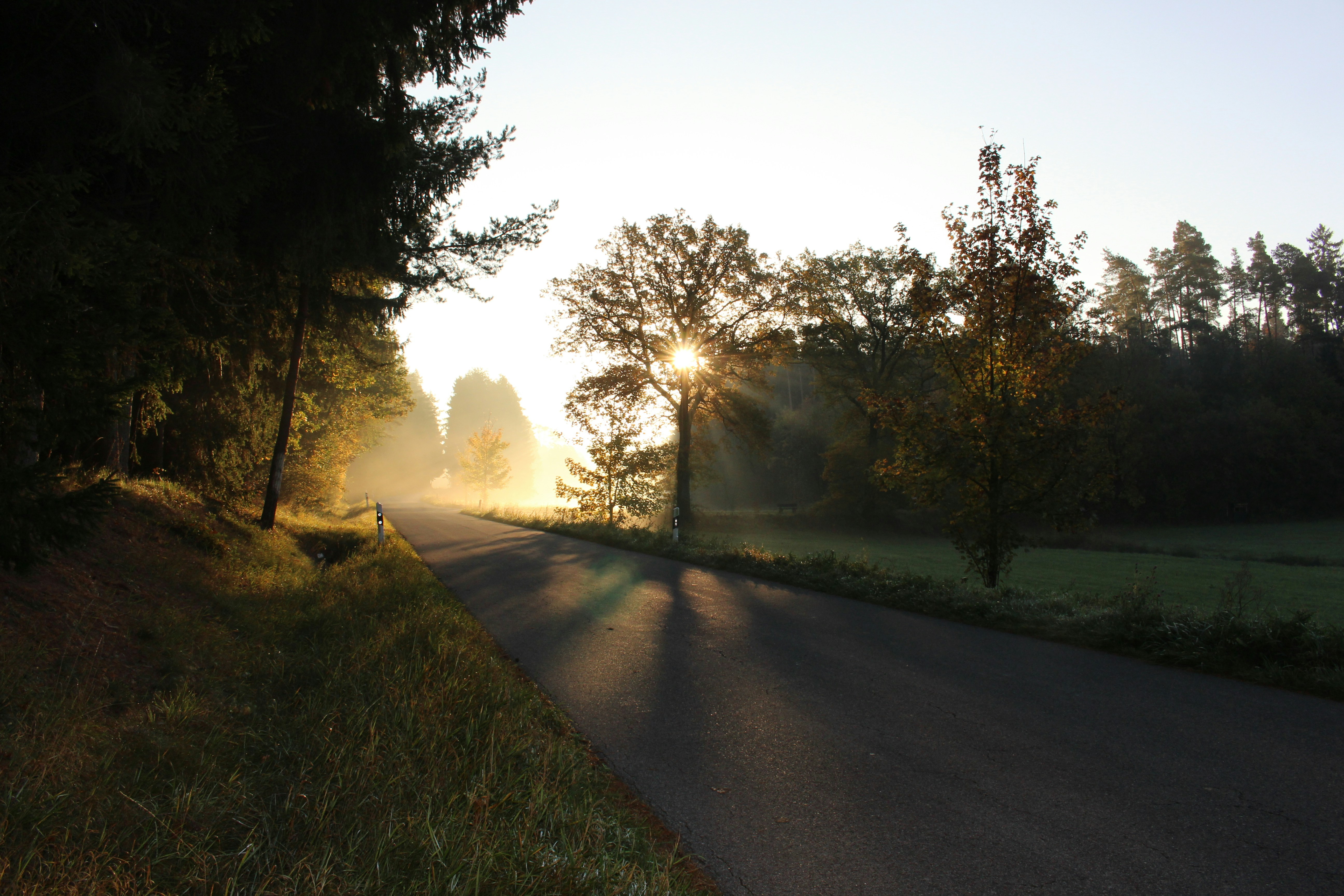 Photo by photoversum