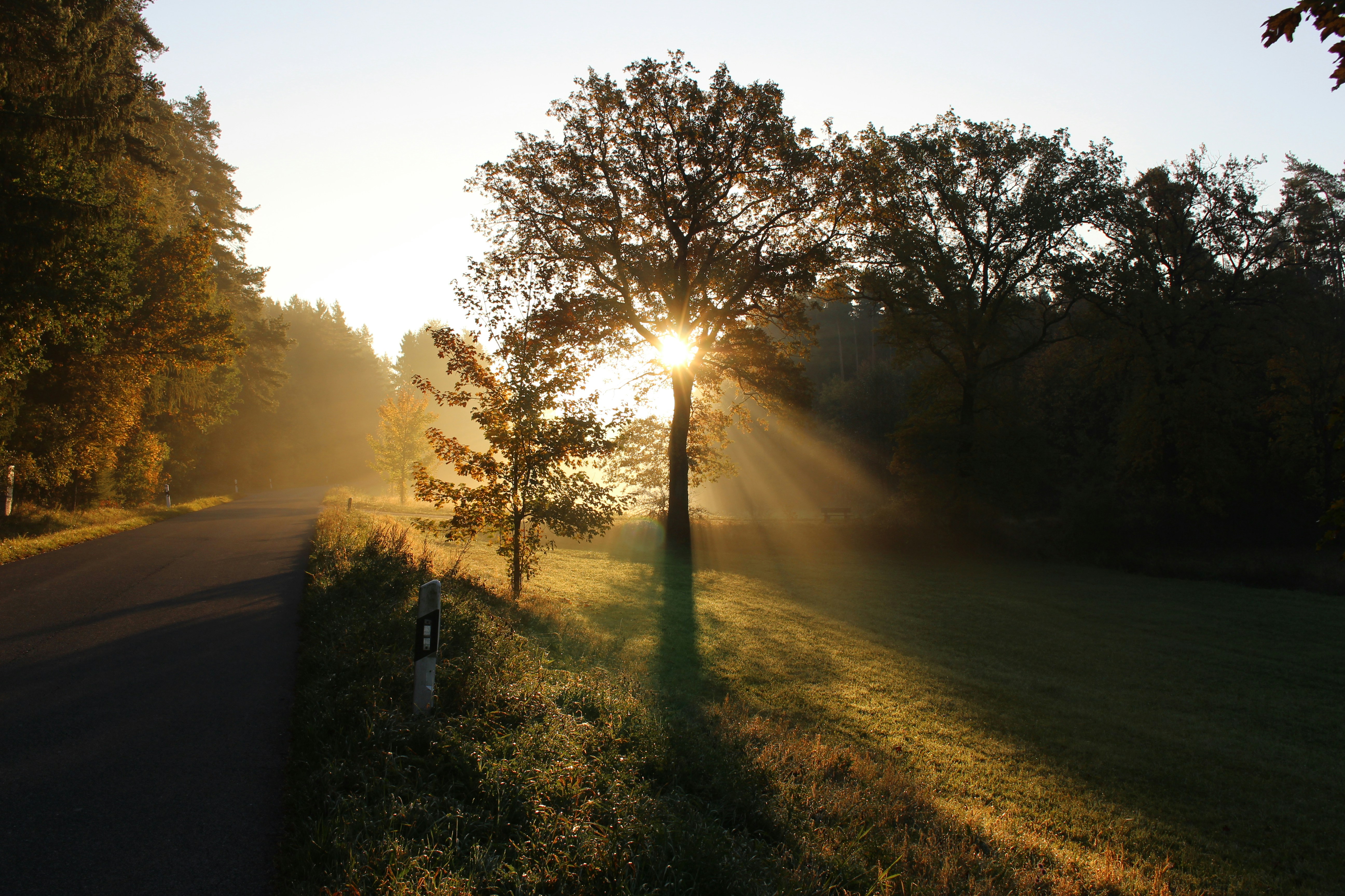 Photo by photoversum