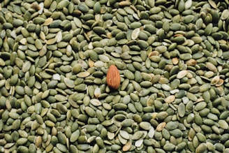 almond seed on top of green seeds