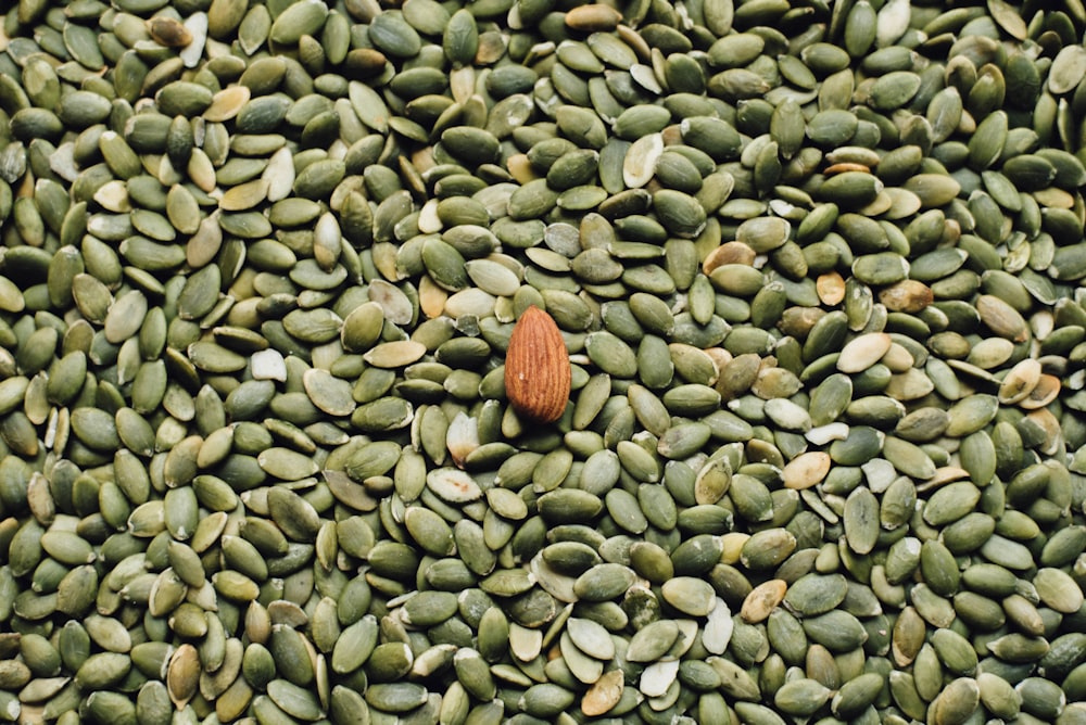 almond seed on top of green seeds