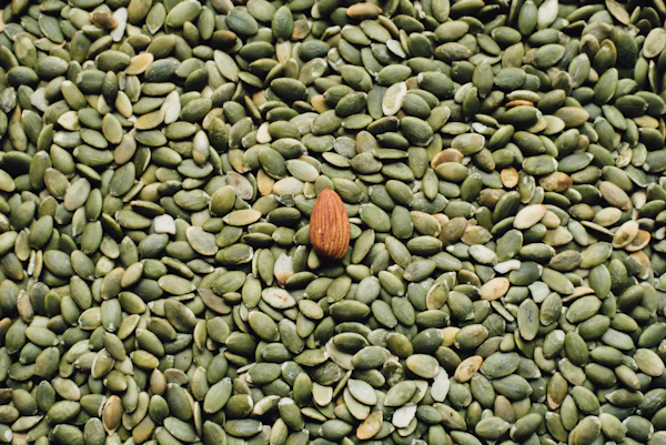 Hulless Styrian pumpkin seeds
