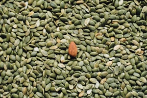 Seeds