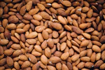 Sweet Almond Oil