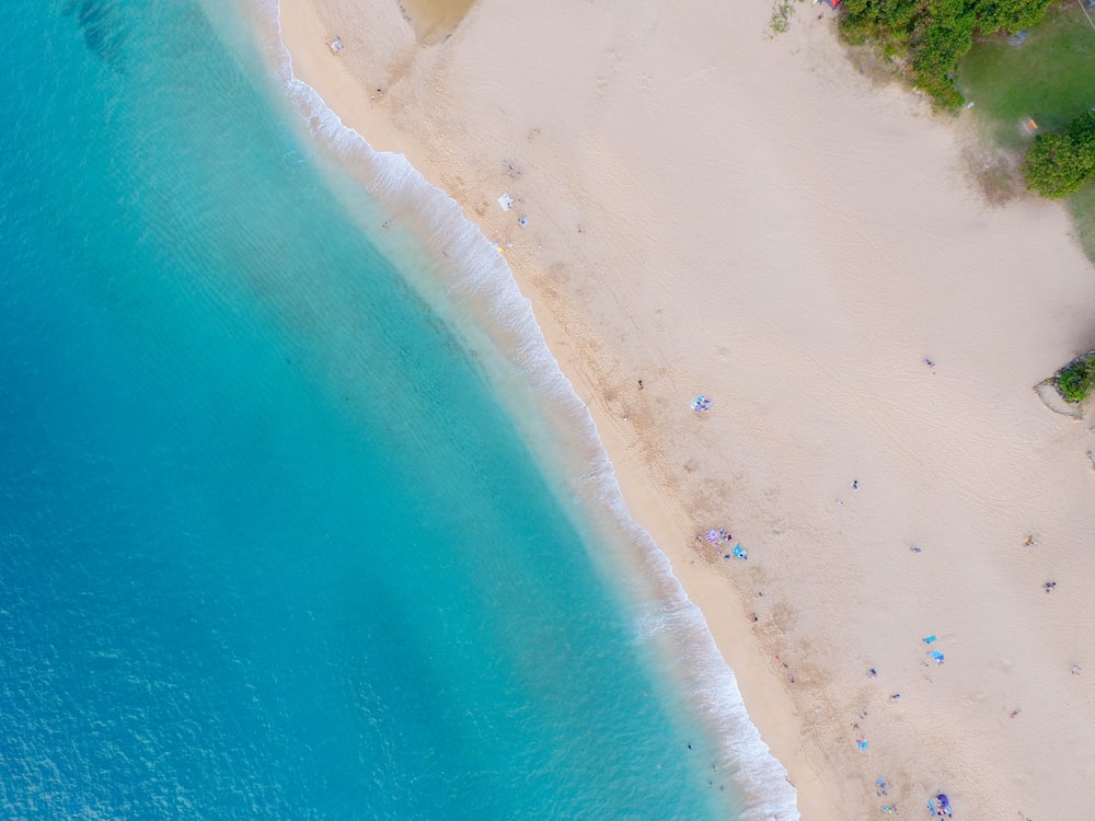 areia marrom perto do corpo de água