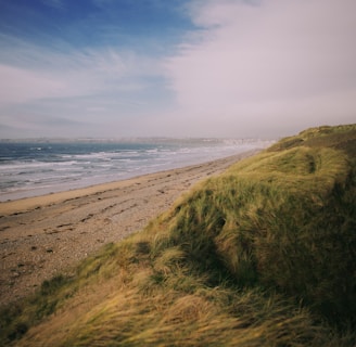 photo of green grass near sea at daytime