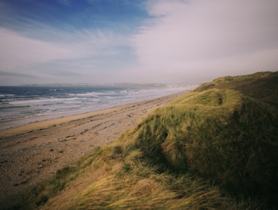 photo of green grass near sea at daytime