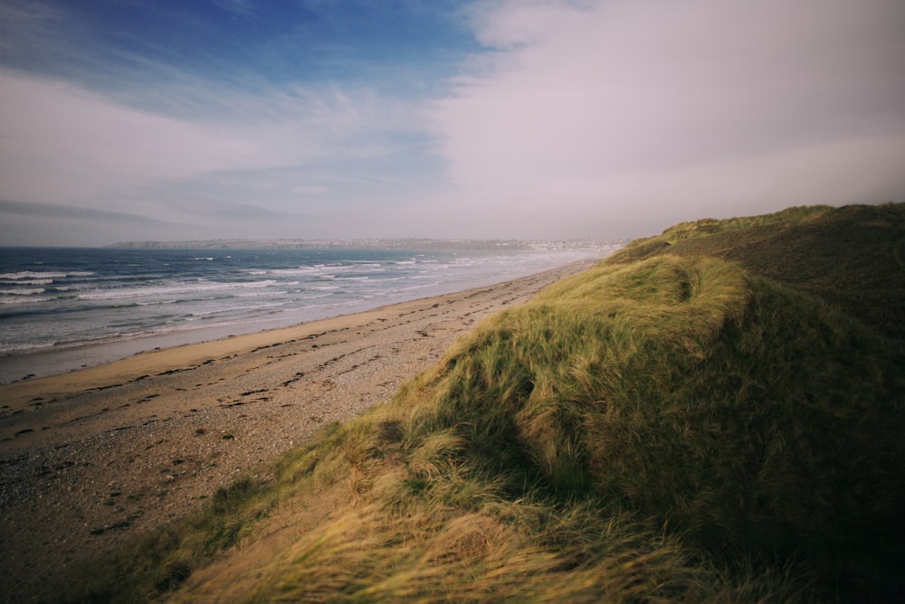 photo of green grass near sea at daytime