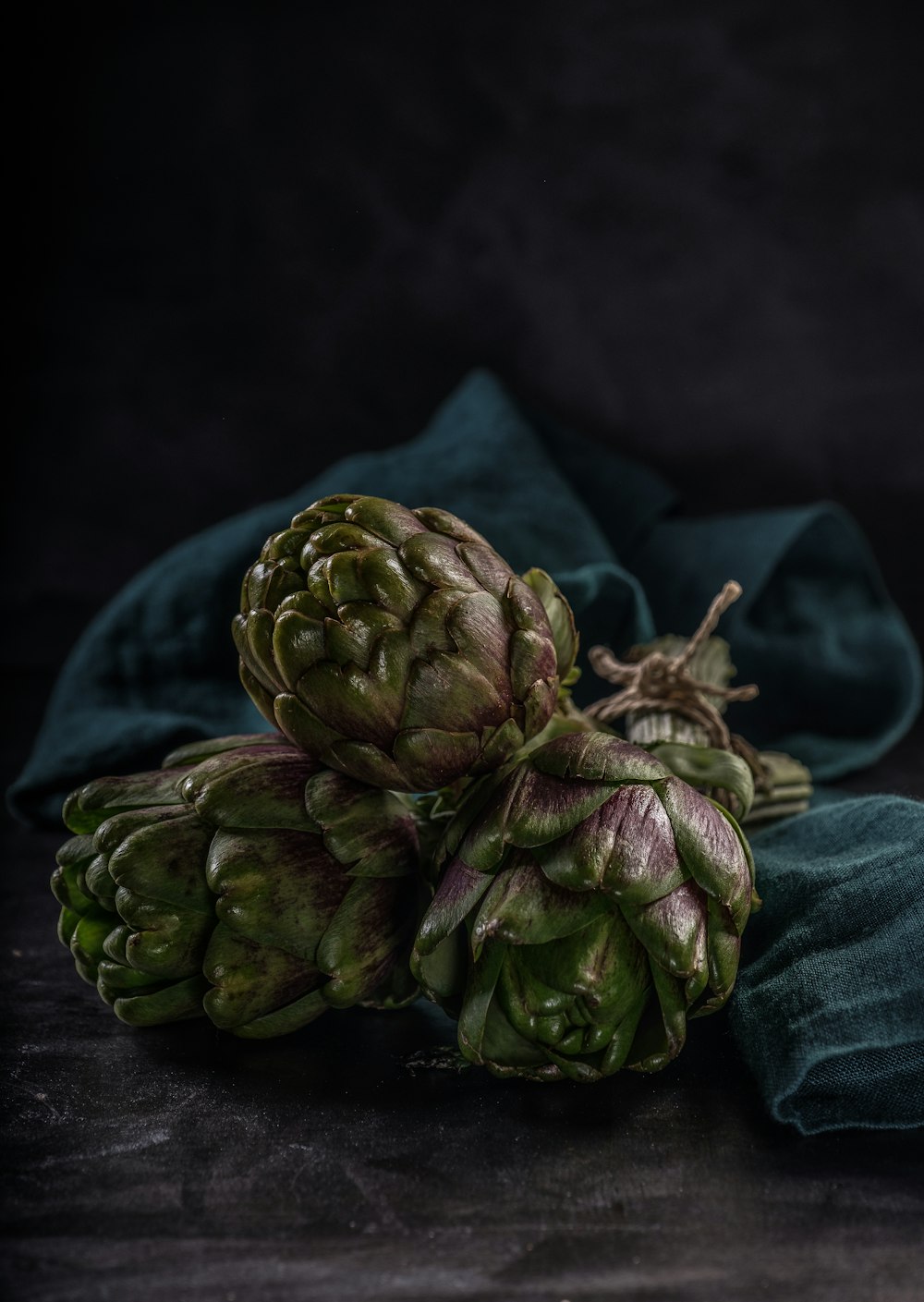 selective focus photography of three green succulent plants on blue cloth