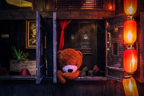 bear plush toy on window