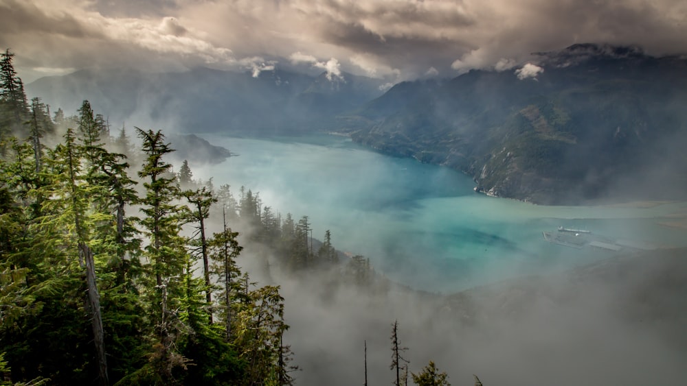 aerial photography of lagon between trees and mountain