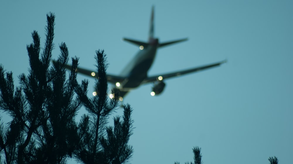 tilt shift lens photography of green grass and plane