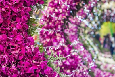 Close-up of vibrant flower decorations arranged around a tent entrance at dusk.