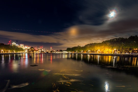 green trees under nighttime in Greenland Dock United Kingdom