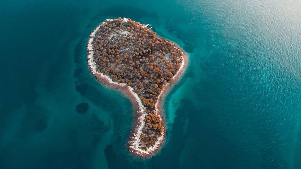 aerial photography of islet