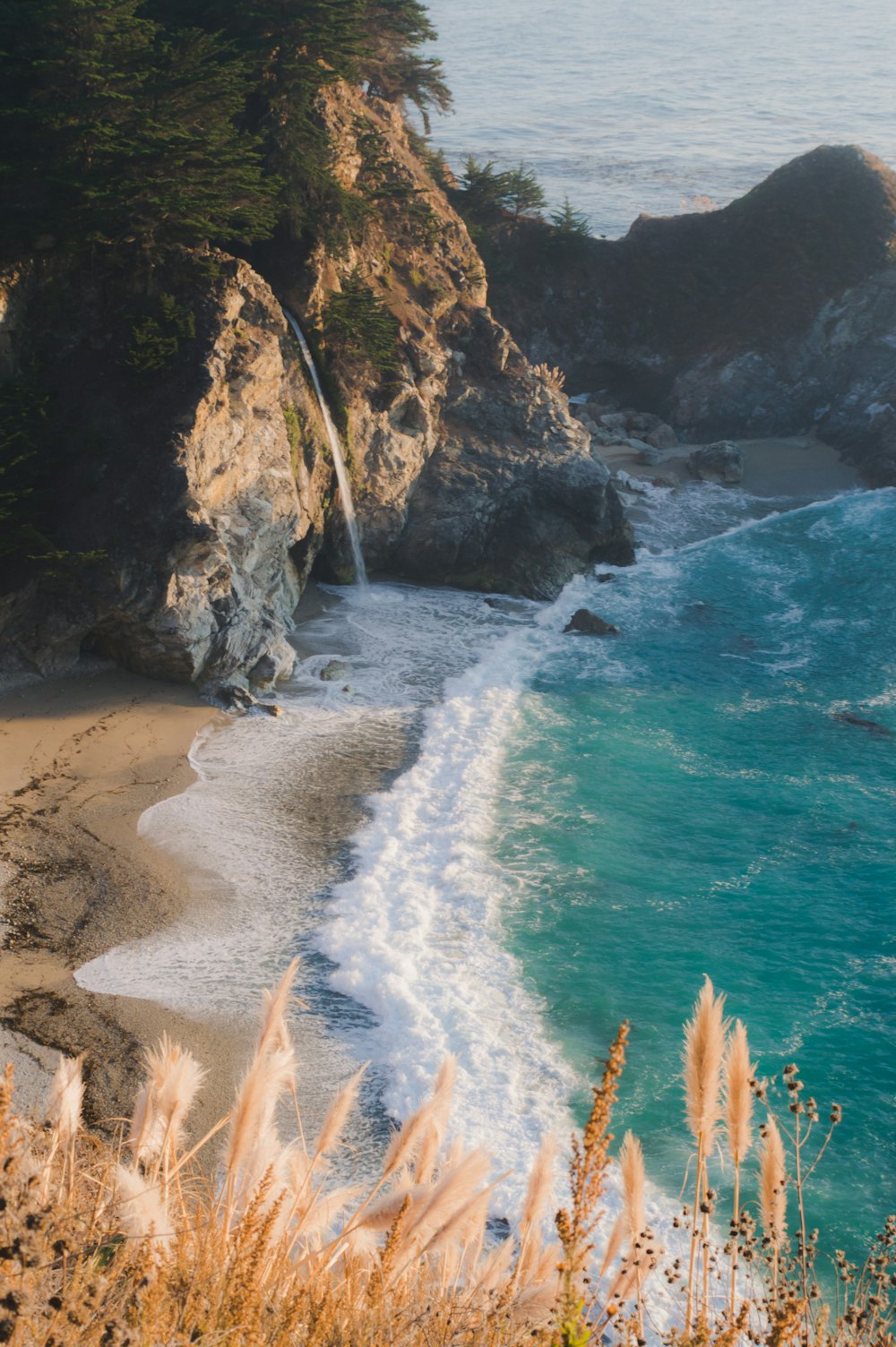 seashore during daytime