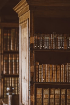 books in bookshelves
