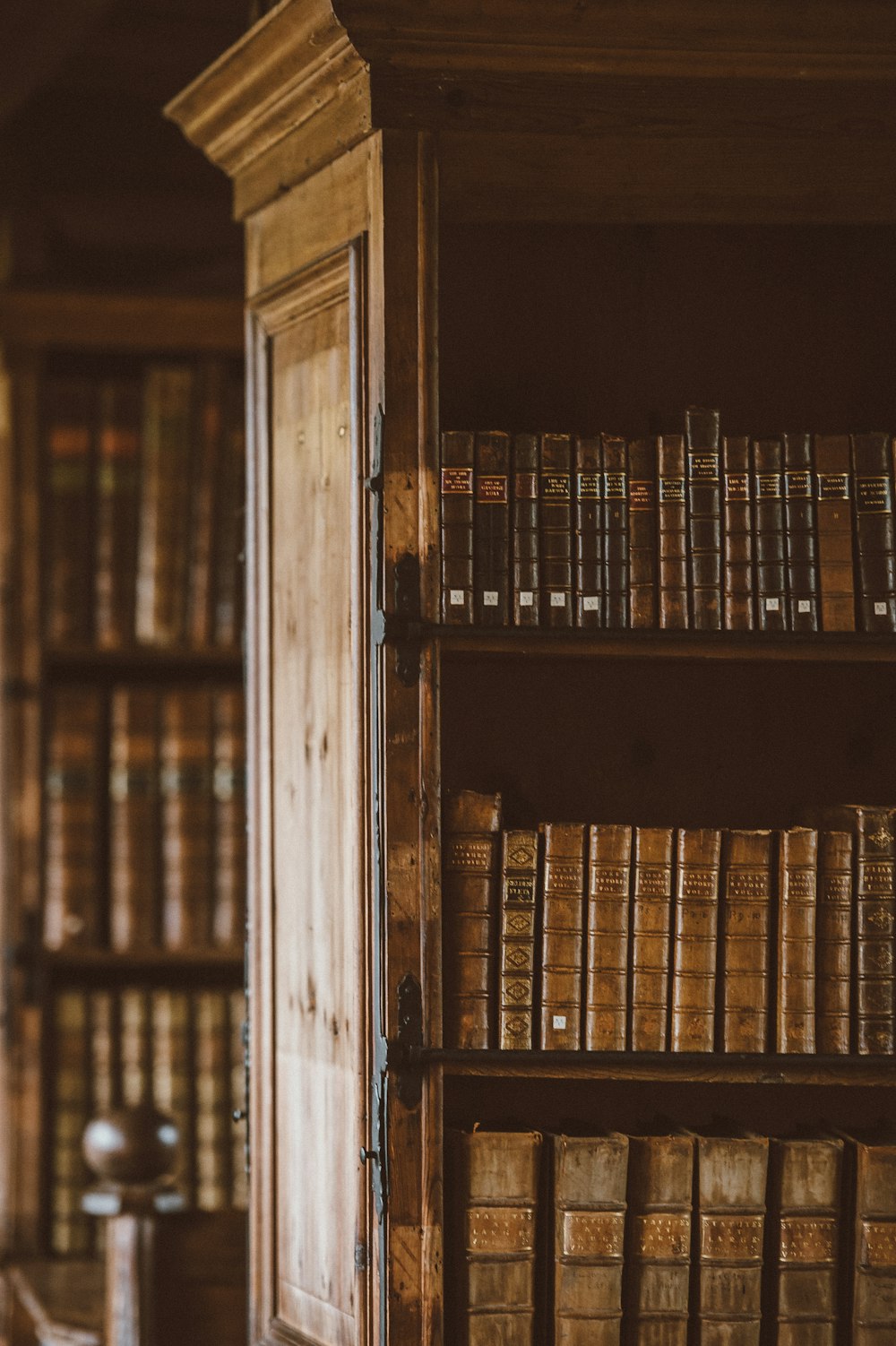 books in bookshelves