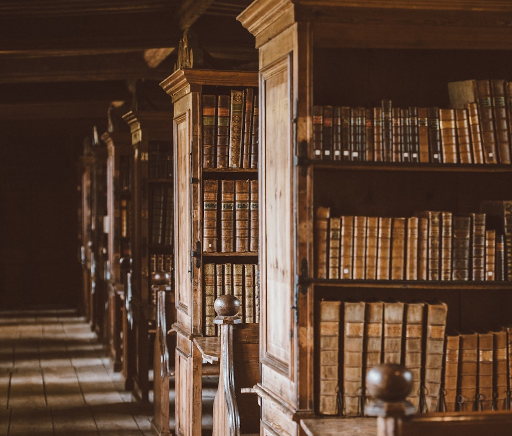 図書館の書架の写真