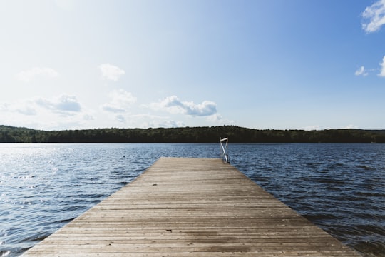 brown pathway in Readfield United States