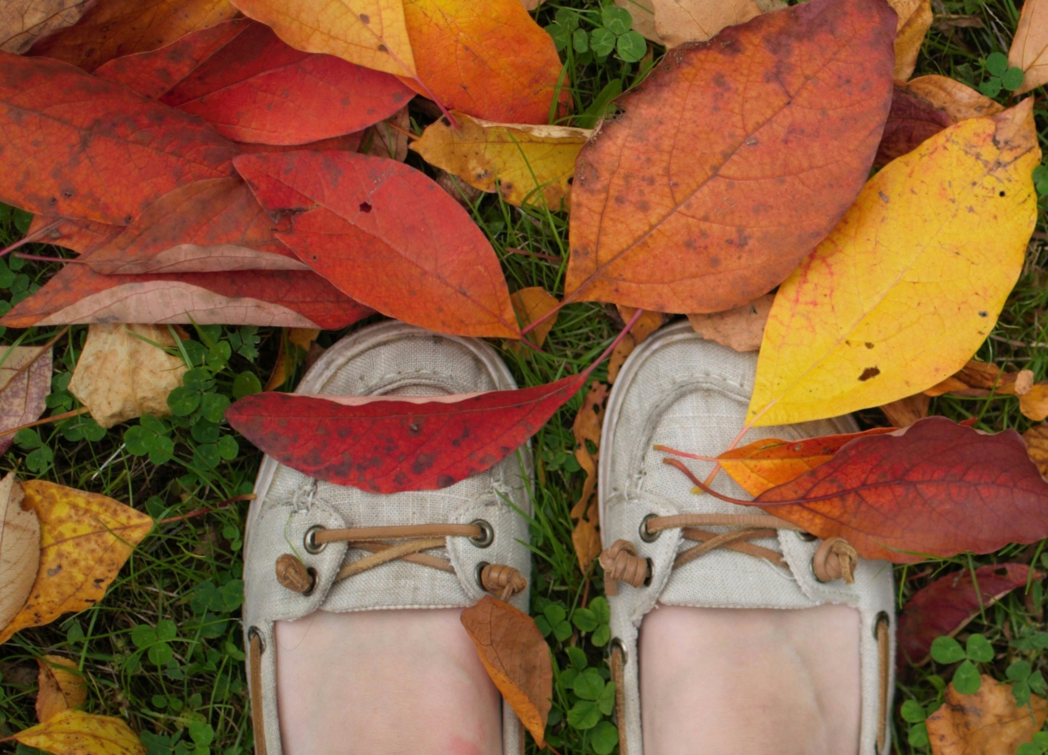 Stylish Seasonal Footwear