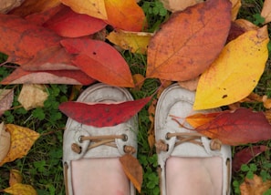A pair of beige shoes stands on grass, surrounded by vibrant autumn leaves in shades of red, orange, and yellow. Some clover leaves are visible among the greenery.