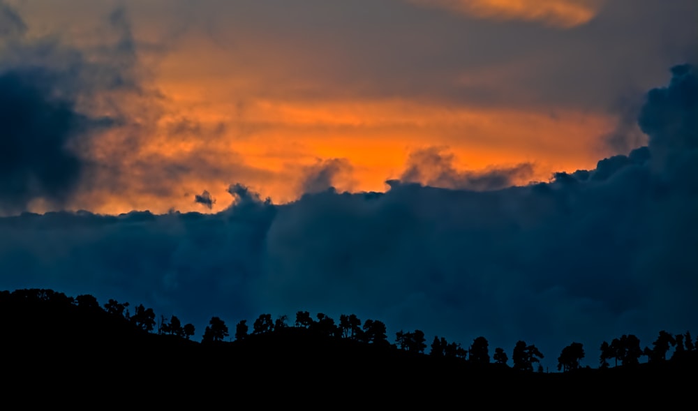 silhouette of trees during sunset