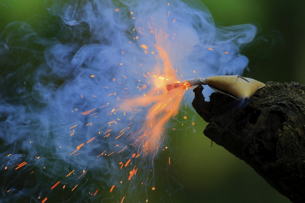 selective focus photography of fire crackers