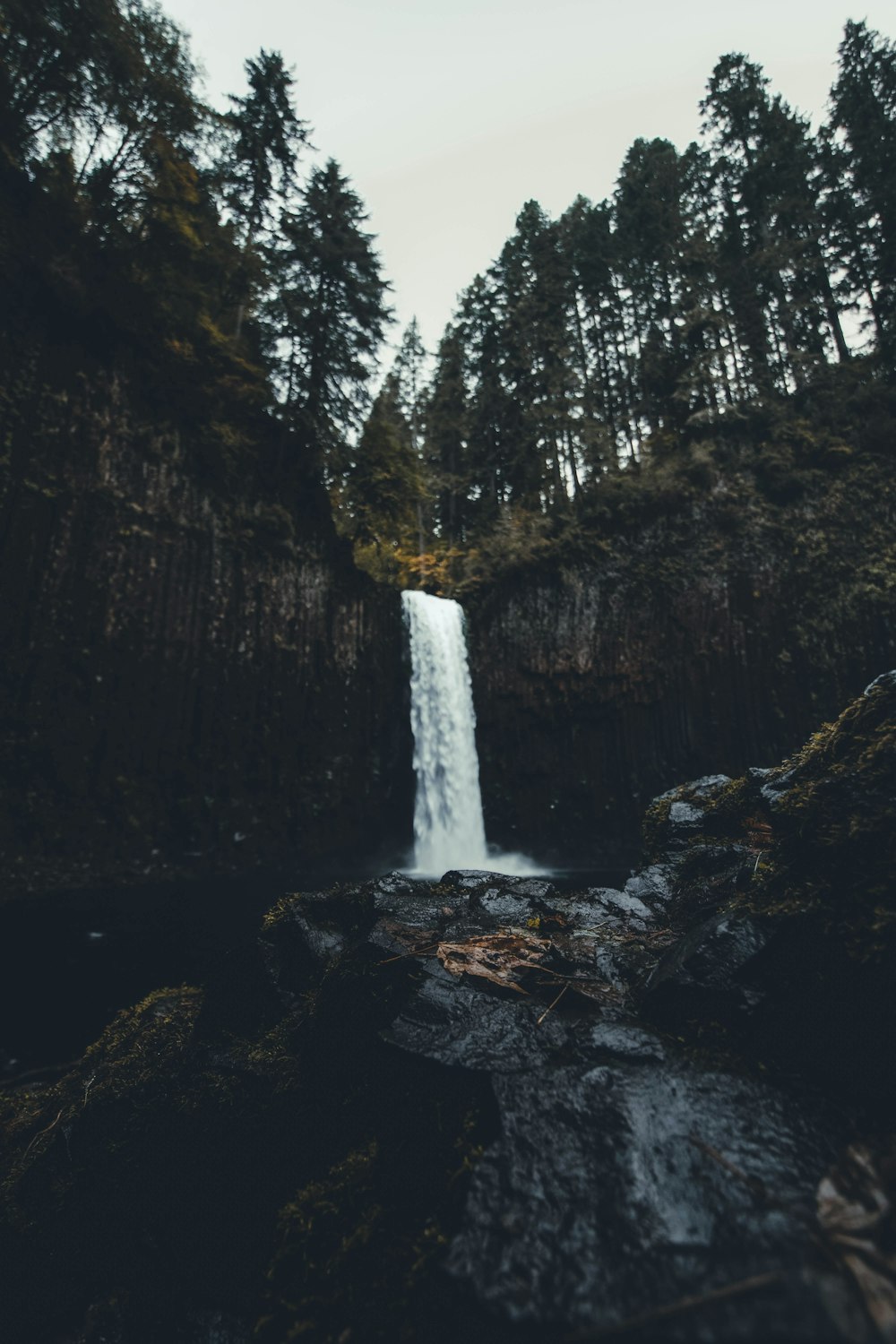 waterfalls near trees at daytime